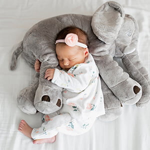 Baby Sleep Formula + Bunuses